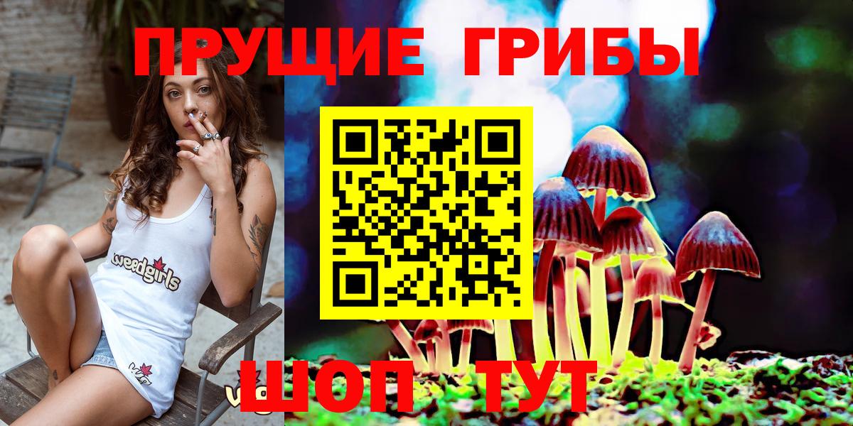 Галлюциногенные грибы мицелий  Галлюциногенные грибы Cubensis  Клинцы  продажа наркотиков  Вход с VPN 