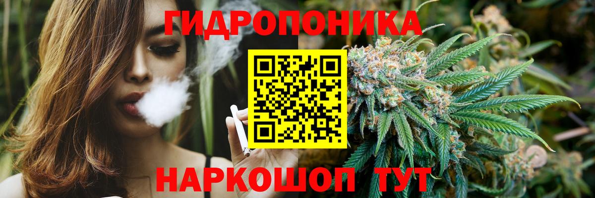 Бошки марихуана индика  Вход с VPN  Клинцы  Шишки марихуана сатива  Марихуана планчик 